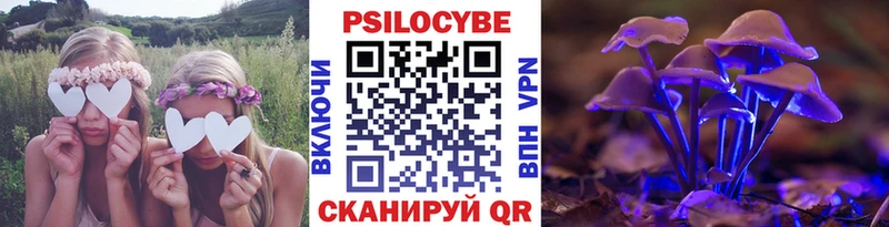 Галлюциногенные грибы Psilocybe  MEGA ССЫЛКА  Бирюч 